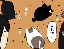 いつものごはん風景が…いったい何ごと？【てらねこミー子の日常】
