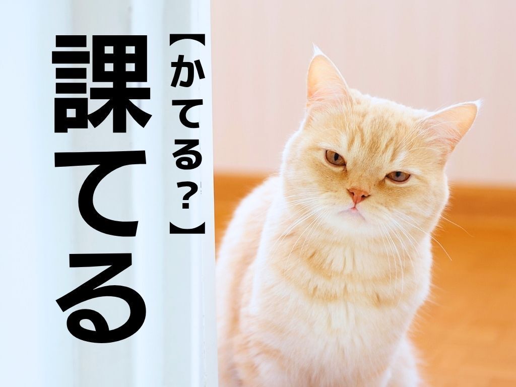 【課てる】なんて読む？「かてる」ではありません。答えられたら漢字マニア！？【難読漢字クイズ】