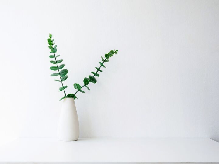 10月6日(月)今日は超・超・超ラッキーデー!何でもうまくいきますが、今日こそ絶対やるべきコトがあるんです!