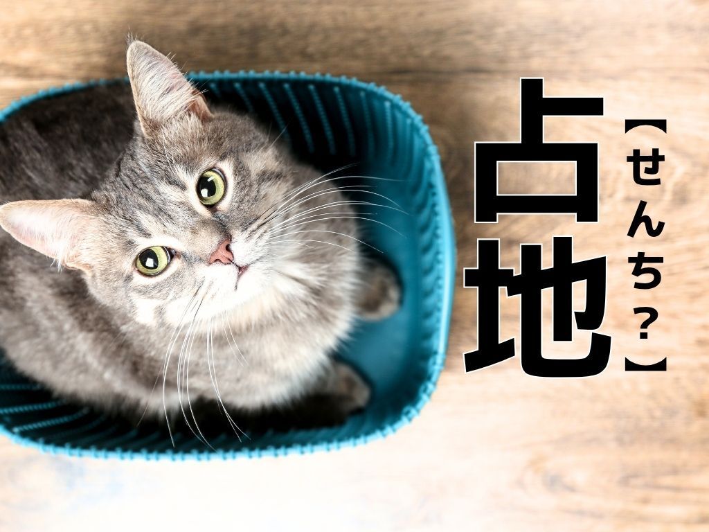 【占地】なんて読む？「せんち」ではありません。ヒントは松茸！？【読めそうで読めない漢字クイズ】