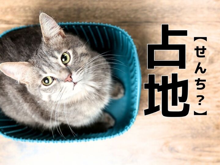【占地】なんて読む?「せんち」ではありません。ヒントは松茸!?【読めそうで読めない漢字クイズ】