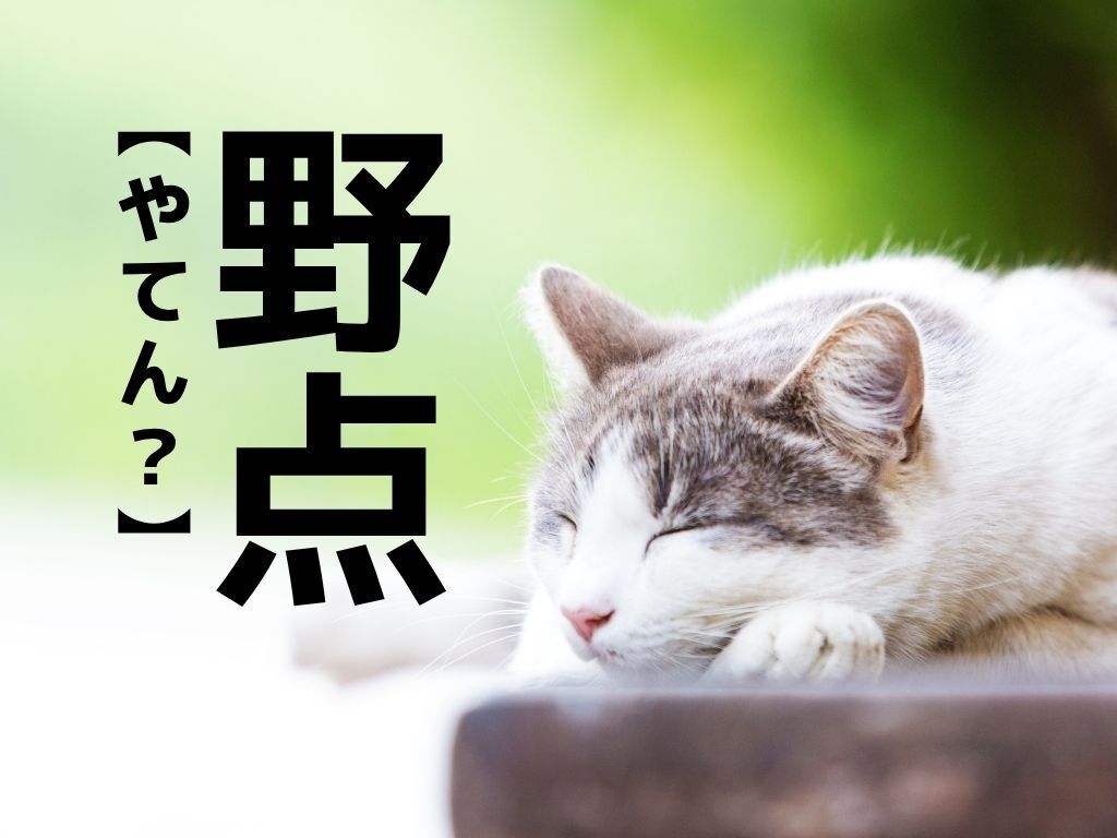 【野点】なんて読む？「やてん」ではありませんよ！【読めそうで読めない漢字クイズ】