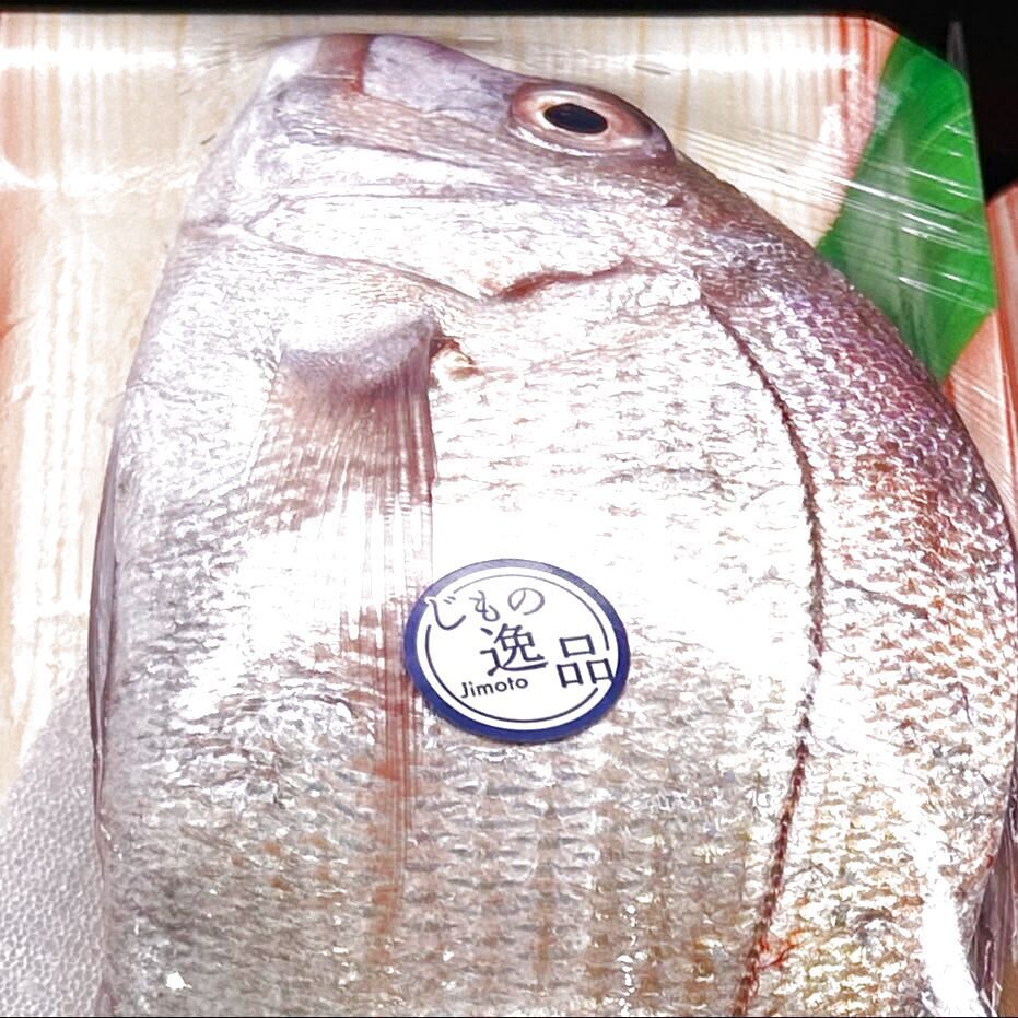 ご近所で天然魚クエスト！瀬戸内海・海沿い町のスーパーマーケットの鮮魚コーナーを見る