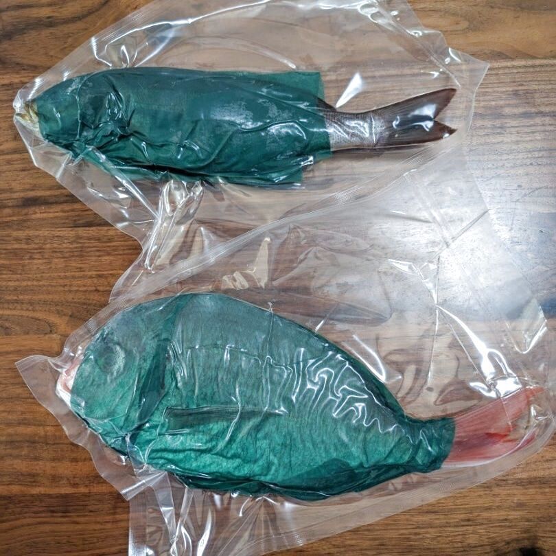 届いた魚に感動！！