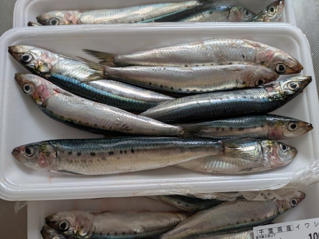 スーパーでお魚調べ