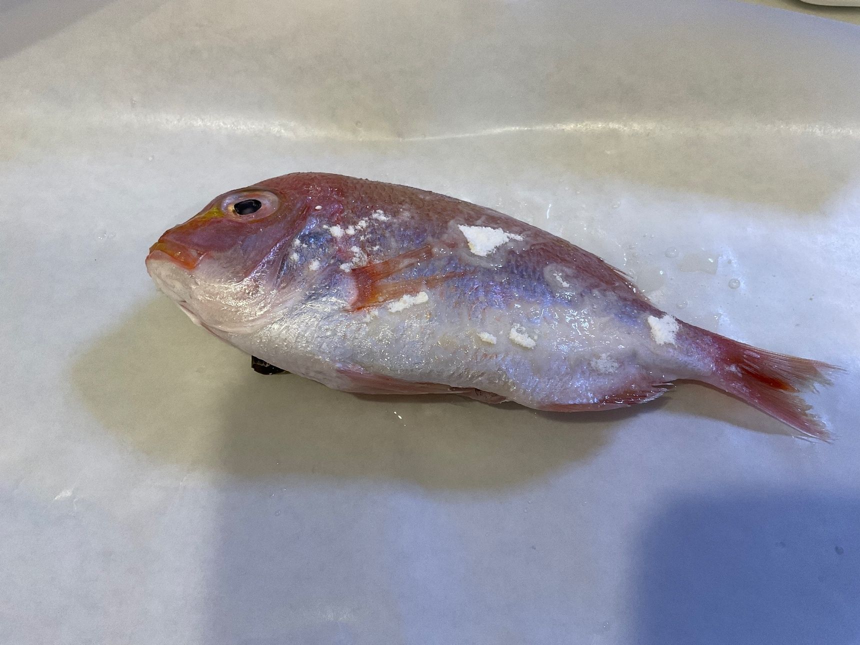 魚をクッキングシートで包む