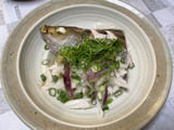 ご近所で天然魚クエスト　イサキの湯煮