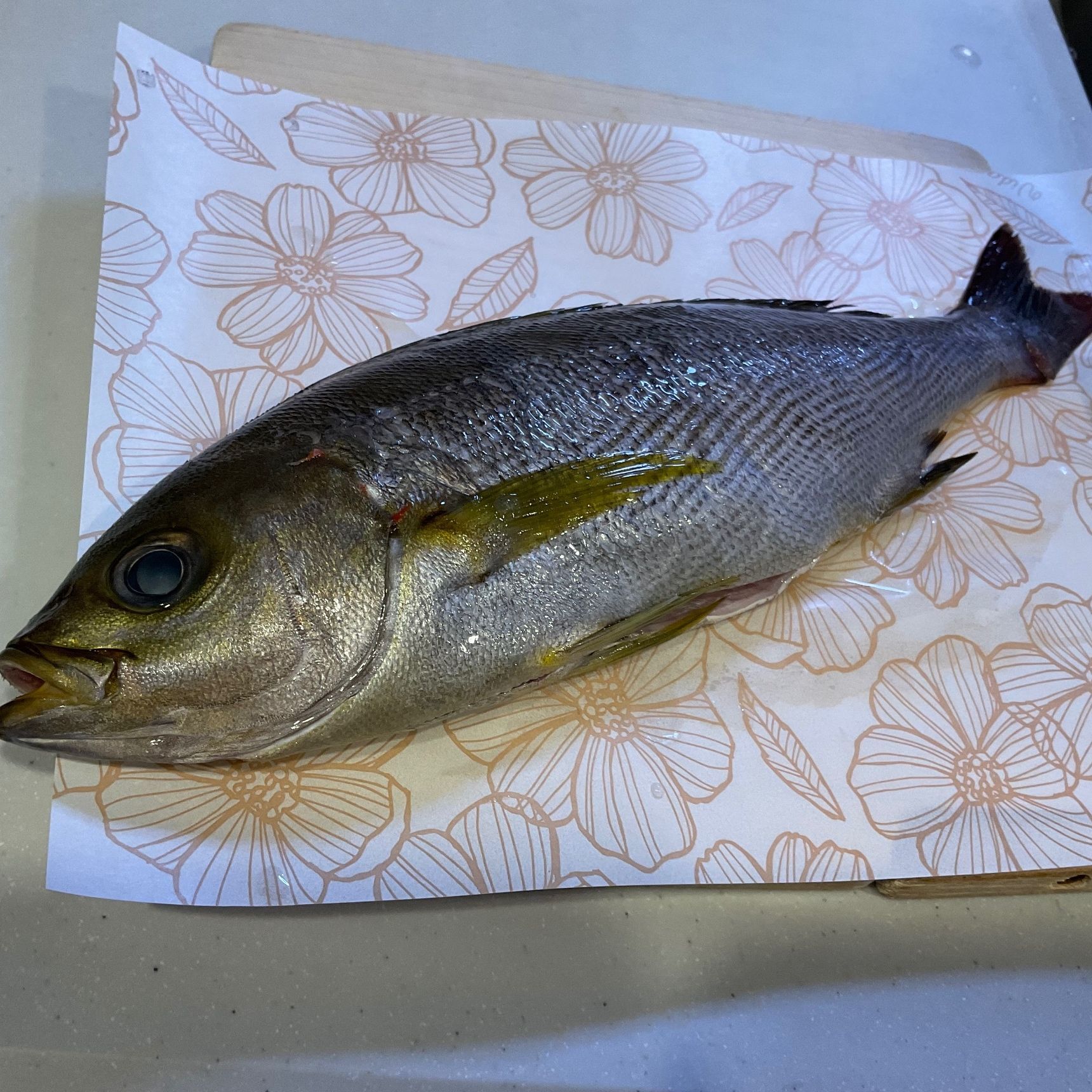 イサキの湯煮、作ってみます