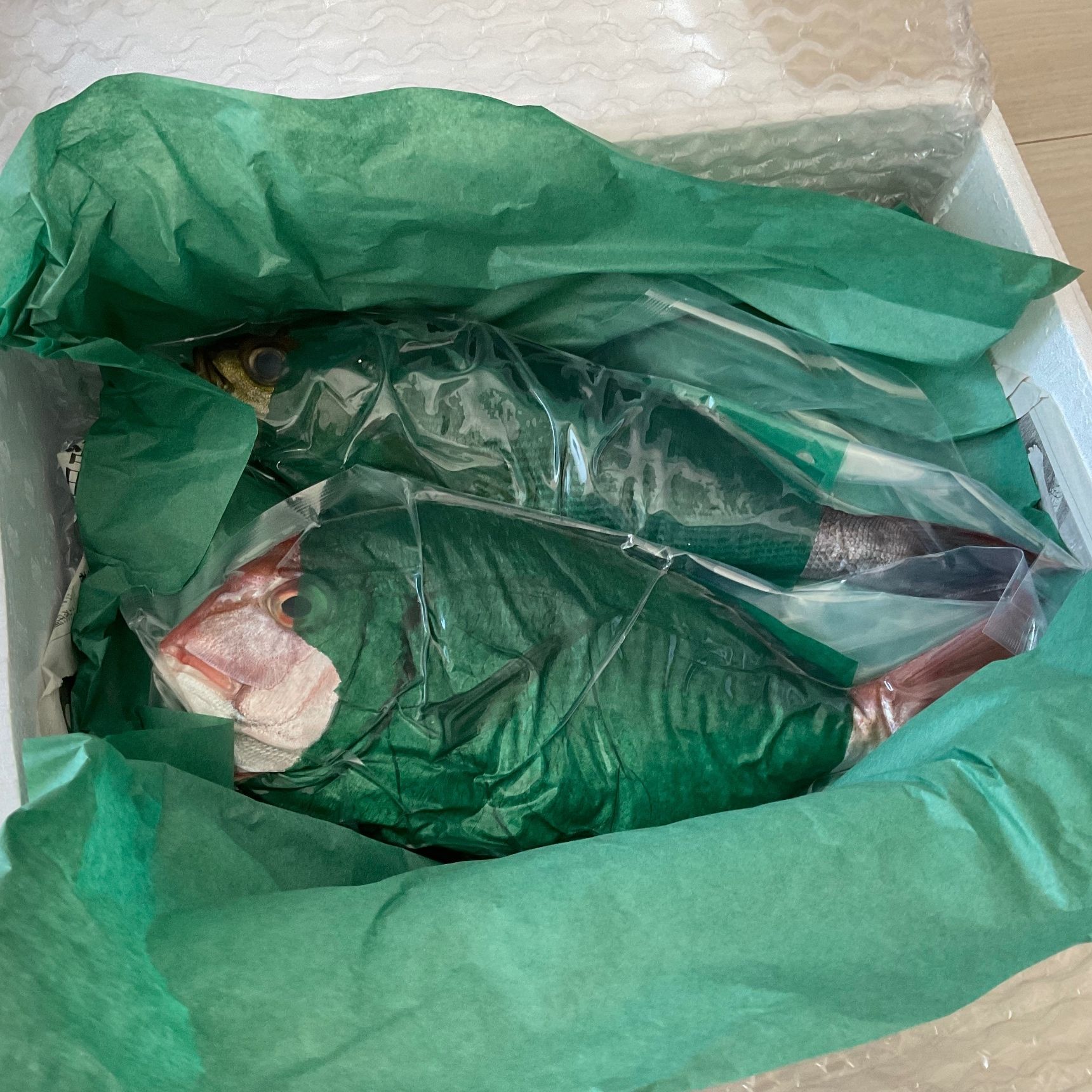 新鮮なお魚が届きました！