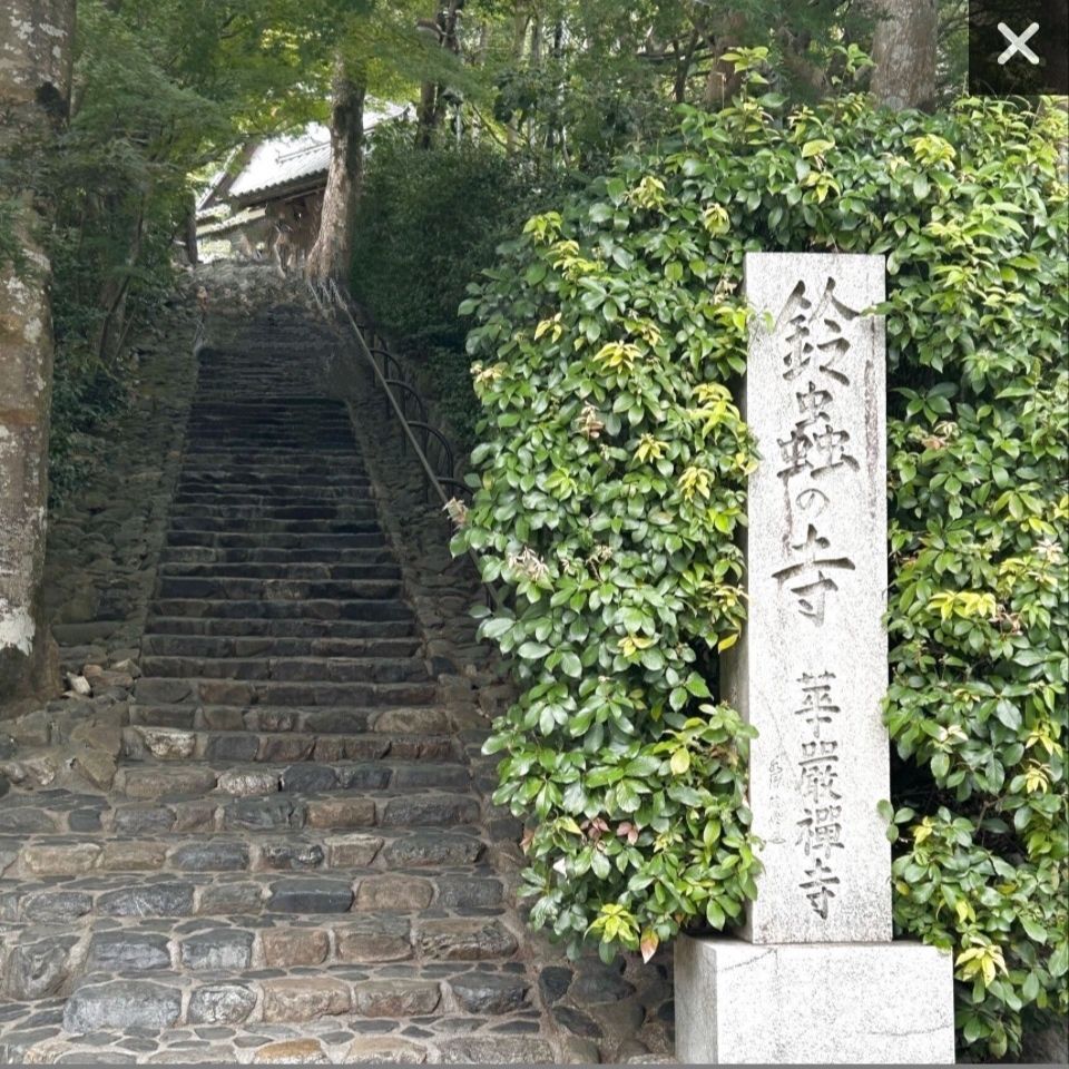 【京都・神社仏閣】一年中鈴虫が鳴く寺へ