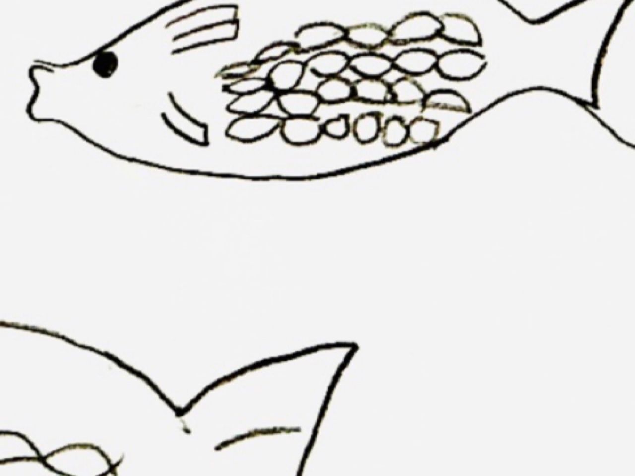 なぬ！？【小5息子が描いた魚の絵】に衝撃が隠せない！「やっぱり美味しい魚を食べ続けたいよね」