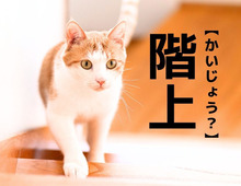 【階上】なんて読む？「かいじょう」ではありません。実在する日本の地名ですよ【難読漢字クイズ】