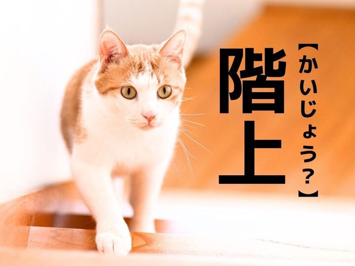 【階上】なんて読む?「かいじょう」ではありません。実在する日本の地名ですよ【難読漢字クイズ】
