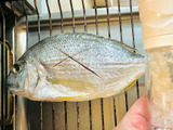 【そういうことだったのかー！】美味しい天然魚の未来「安くて美味しい魚を楽しんじゃえ！」