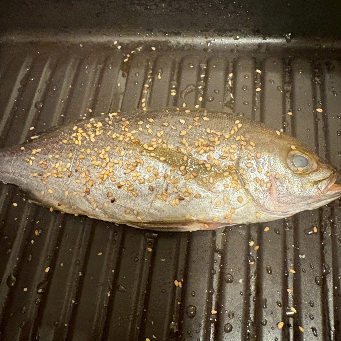 魚焼きに入れて、丸焼きコースにお任せ！