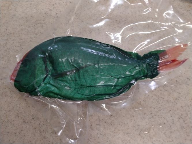 天然魚とは？