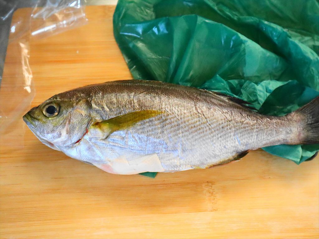 お魚の状態は？
