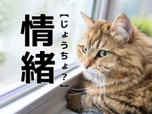 【情緒】は「じょうちょ」ではない！？本来の読み方知ってますか？【意外と知らない漢字クイズ】