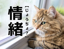 【情緒】は「じょうちょ」ではない！？本来の読み方知ってますか？【意外と知らない漢字クイズ】