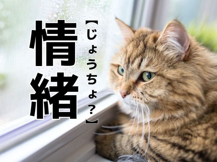 【情緒】は「じょうちょ」ではない!?本来の読み方知ってますか?【意外と知らない漢字クイズ】