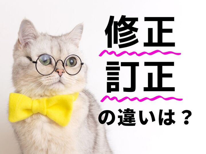 「修正」と「訂正」の使い分け方。同じ"直す"でも意味が違うって知ってた?