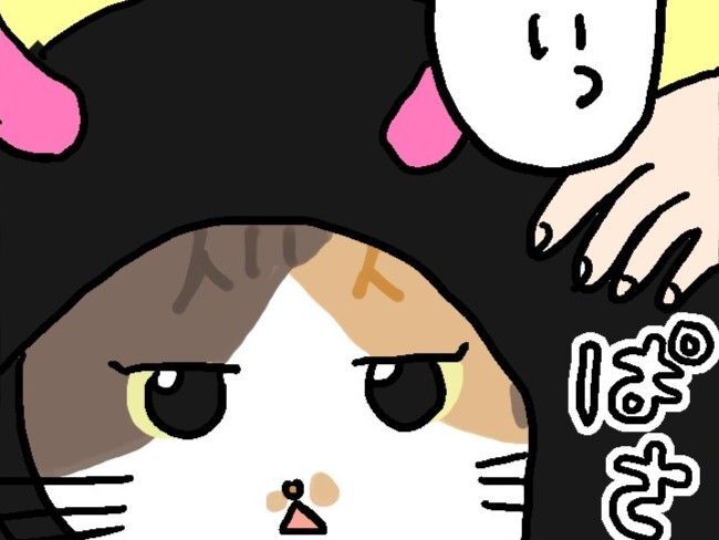 ミー子がどうしてもゆずれないコト。【てらねこミー子の日常】