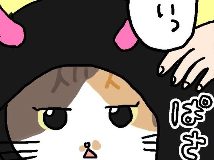 ミー子がどうしてもゆずれないコト。【てらねこミー子の日常】