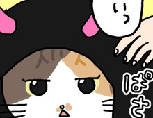 ミー子がどうしてもゆずれないコト。【てらねこミー子の日常】