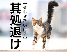 【其処退け】なんて読む？『俳句』好きなら一発でわかるはず！？【読めそうで読めない漢字クイズ】