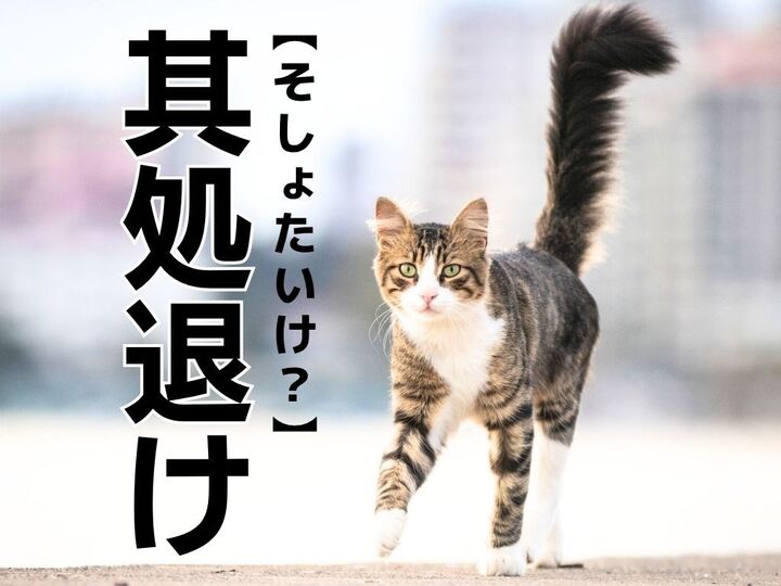 【其処退け】なんて読む?『俳句』好きなら一発でわかるはず!?【読めそうで読めない漢字クイズ】