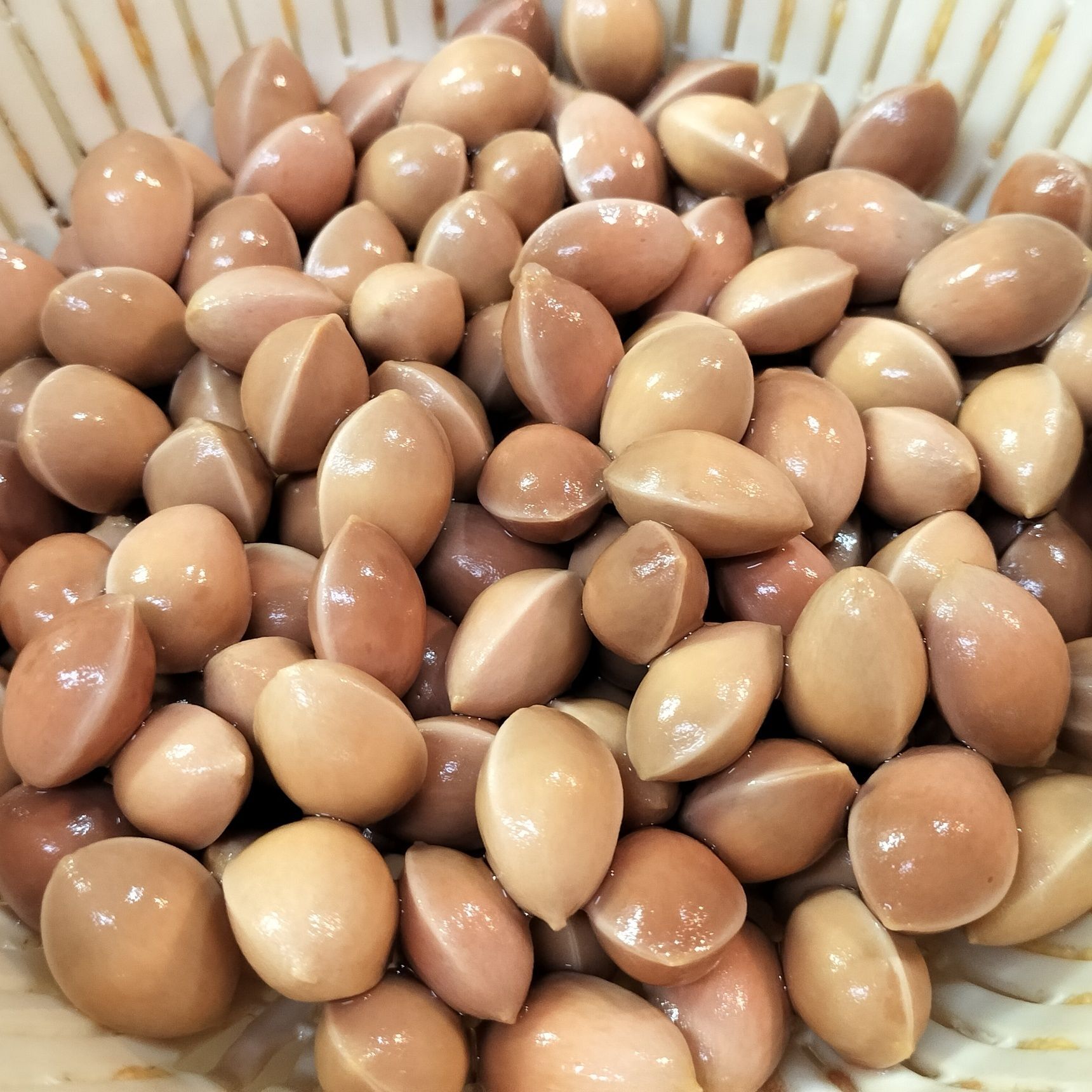 2、外種皮を取り除くと、硬い殻が出てくるので、殻の表面を流水で綺麗に洗う