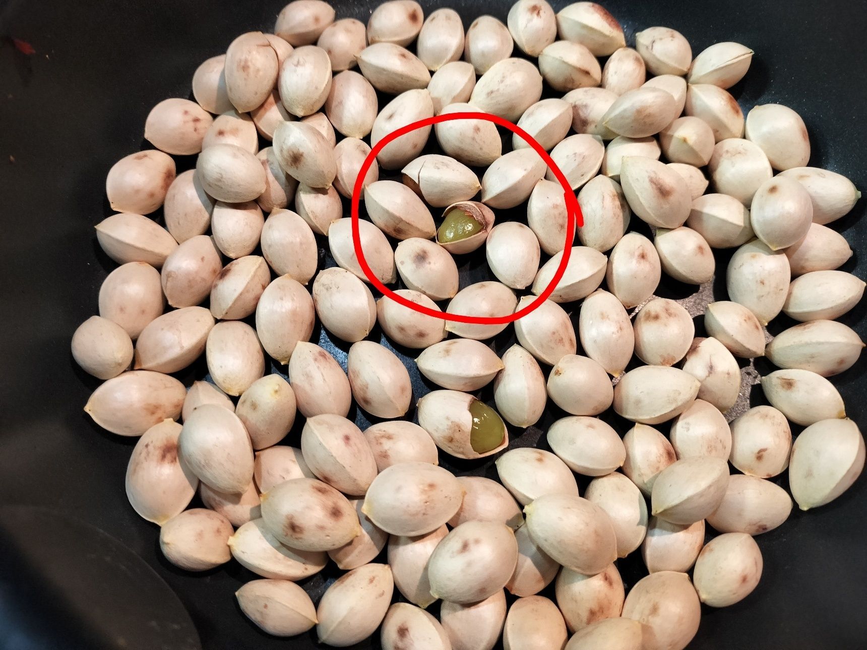 5、弱火〜中火で10〜15分ほど炒る