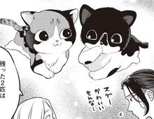 子猫の里親募集を見て、ソッコーでお迎えに。だけど"推し"の子はいなくて…？【借金1000万作曲家の人生を変えてくれた猫の話#2】