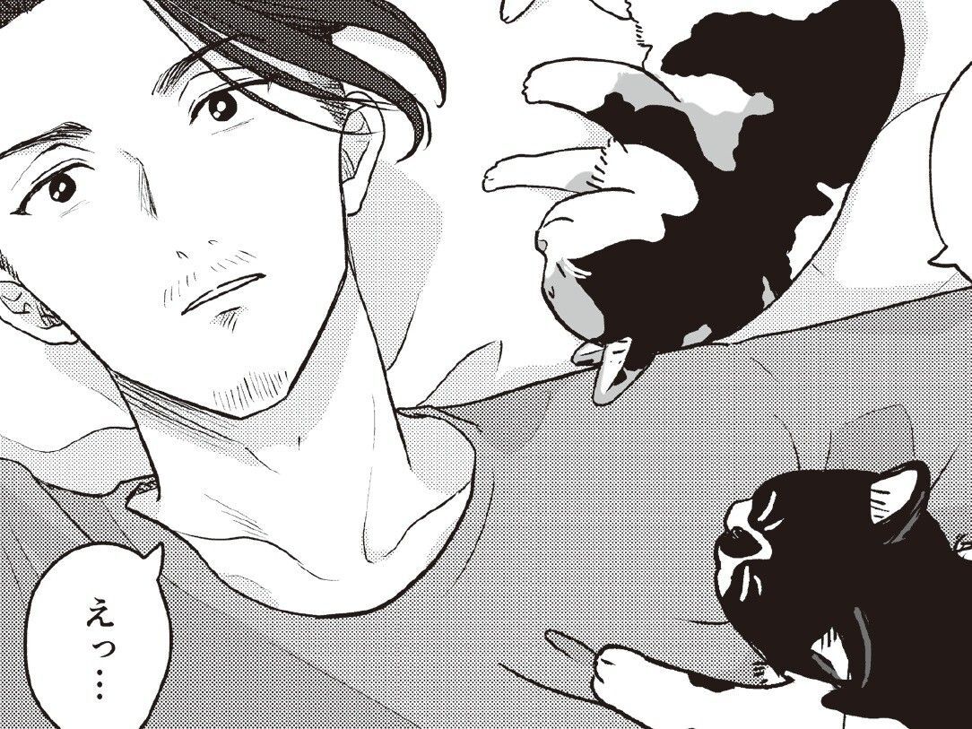 今までは遠巻きの憐憫だった。でも今は違う。「ちゃちゃっと救ってくるわ！」【借金1000万作曲家の人生を変えてくれた猫の話#4】