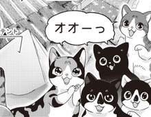 猫5匹。遊べるスペースをDIYしたら、ハチャメチャに！？あわや失敗かと思いきや…【借金1000万作曲家の人生を変えてくれた猫の話#9】