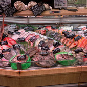 つくばで天然魚クエスト！