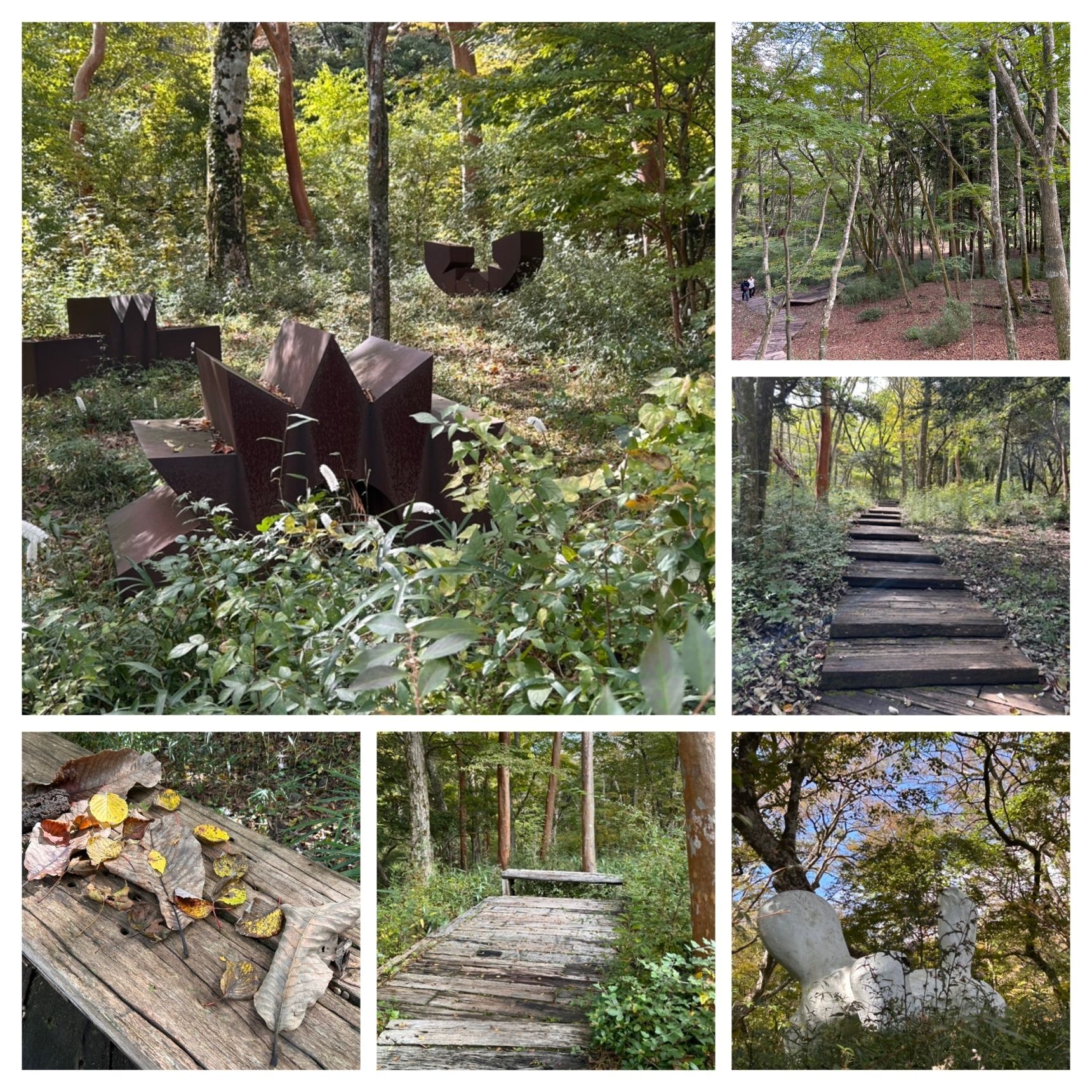 遊歩道は森の中の美術館