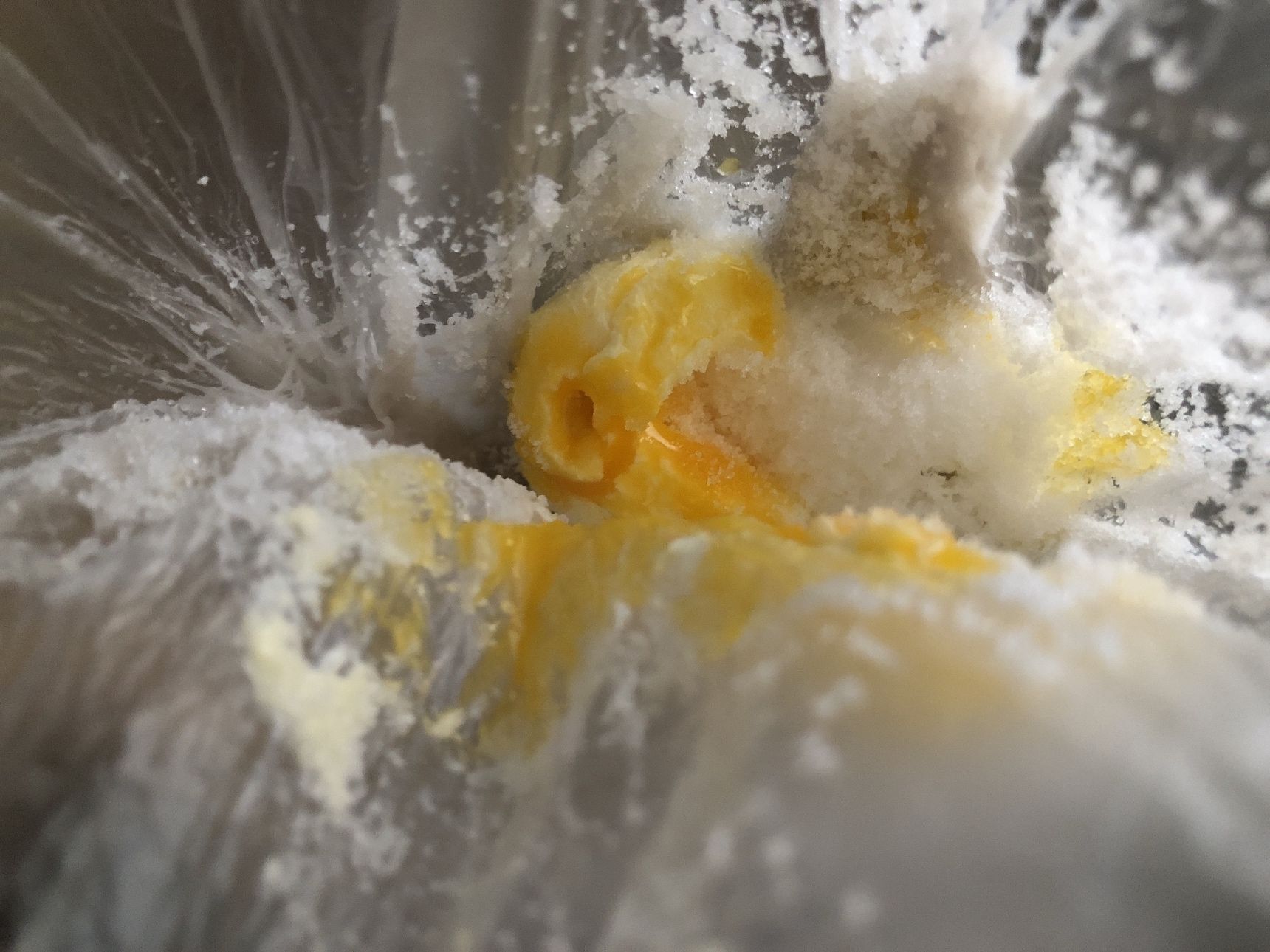 バター、卵黄、砂糖、塩を入れて混ぜます