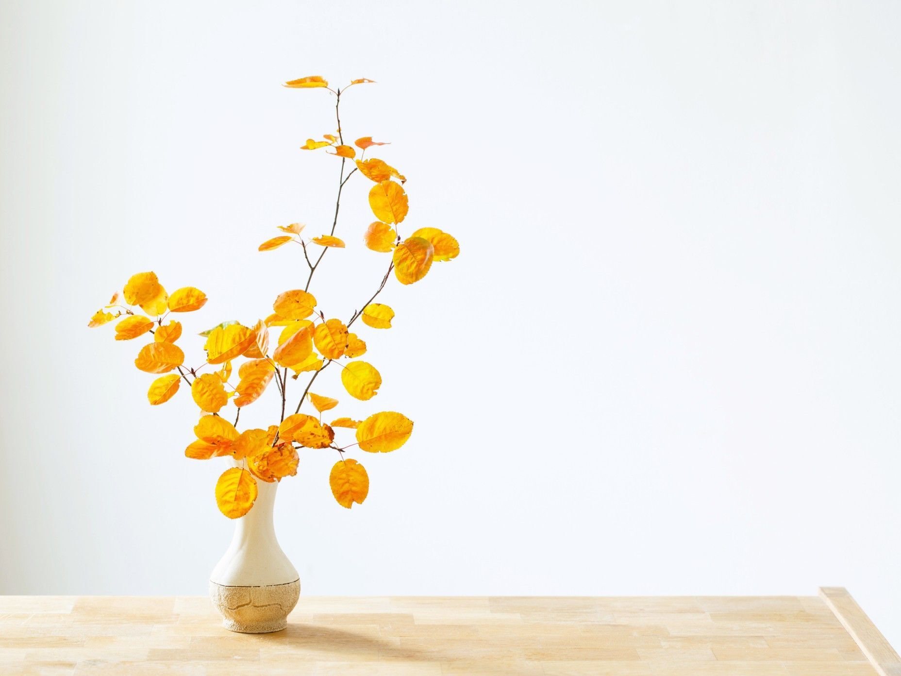 【2025年11月の幸運カレンダー】幸運日が多くてうれしい11月！それぞれの日の意味を知って幸運を呼び寄せよう♪