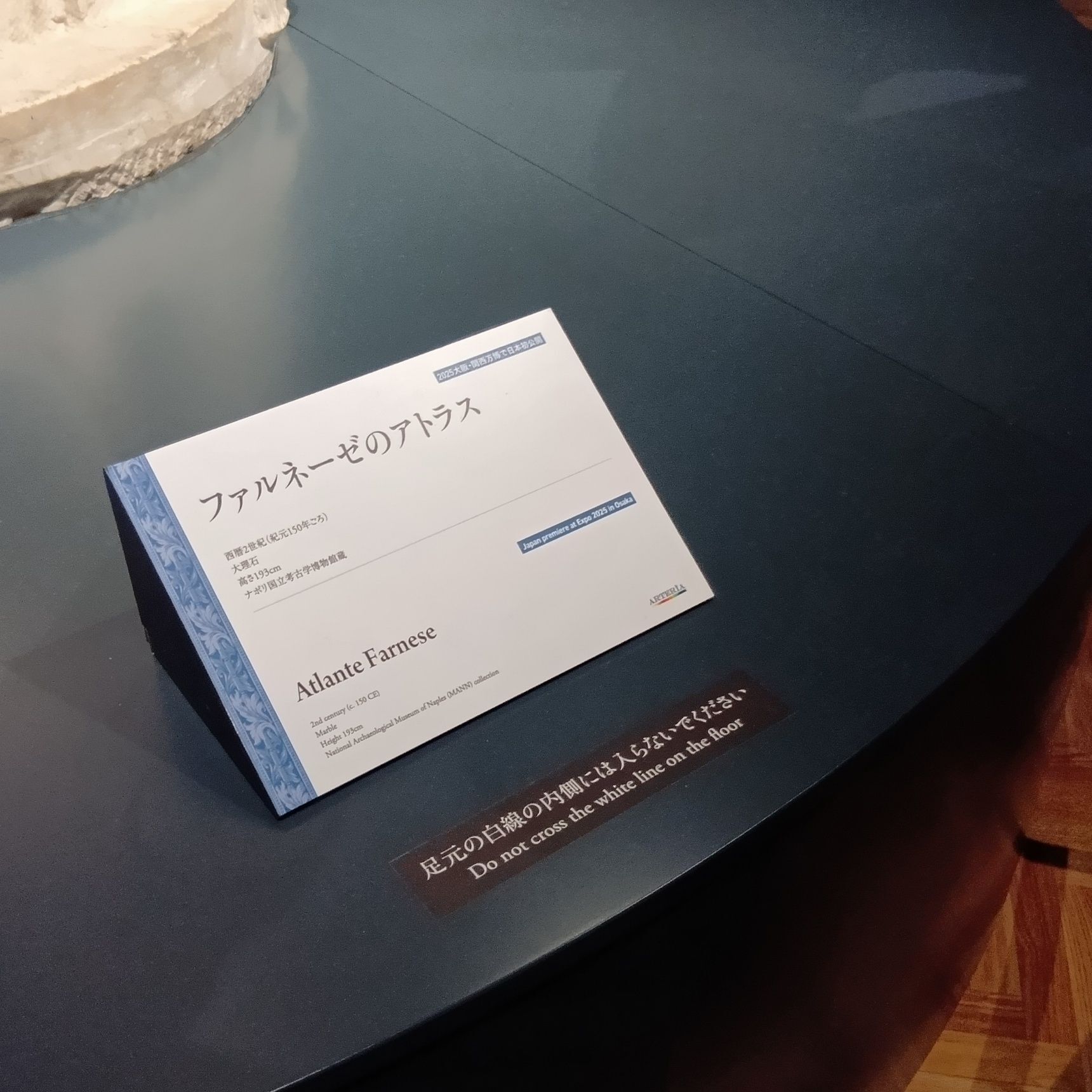 みなさん、じっくり眺めながら鑑賞しつつ、大撮影会の時間です。