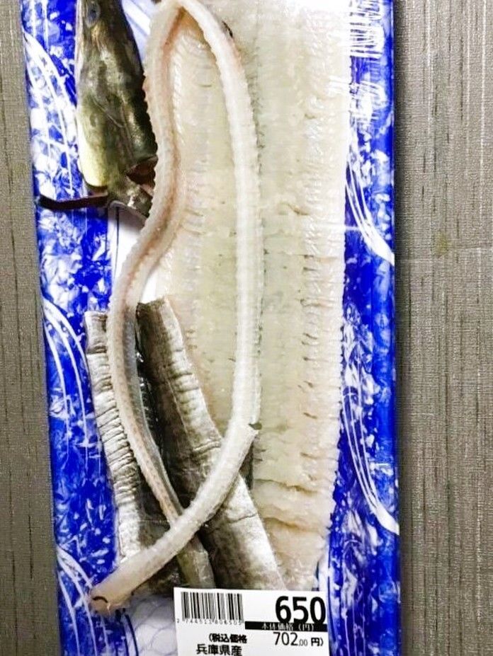 天然魚クエスト☆地元 兵庫県の魚を求めて街へGO☆