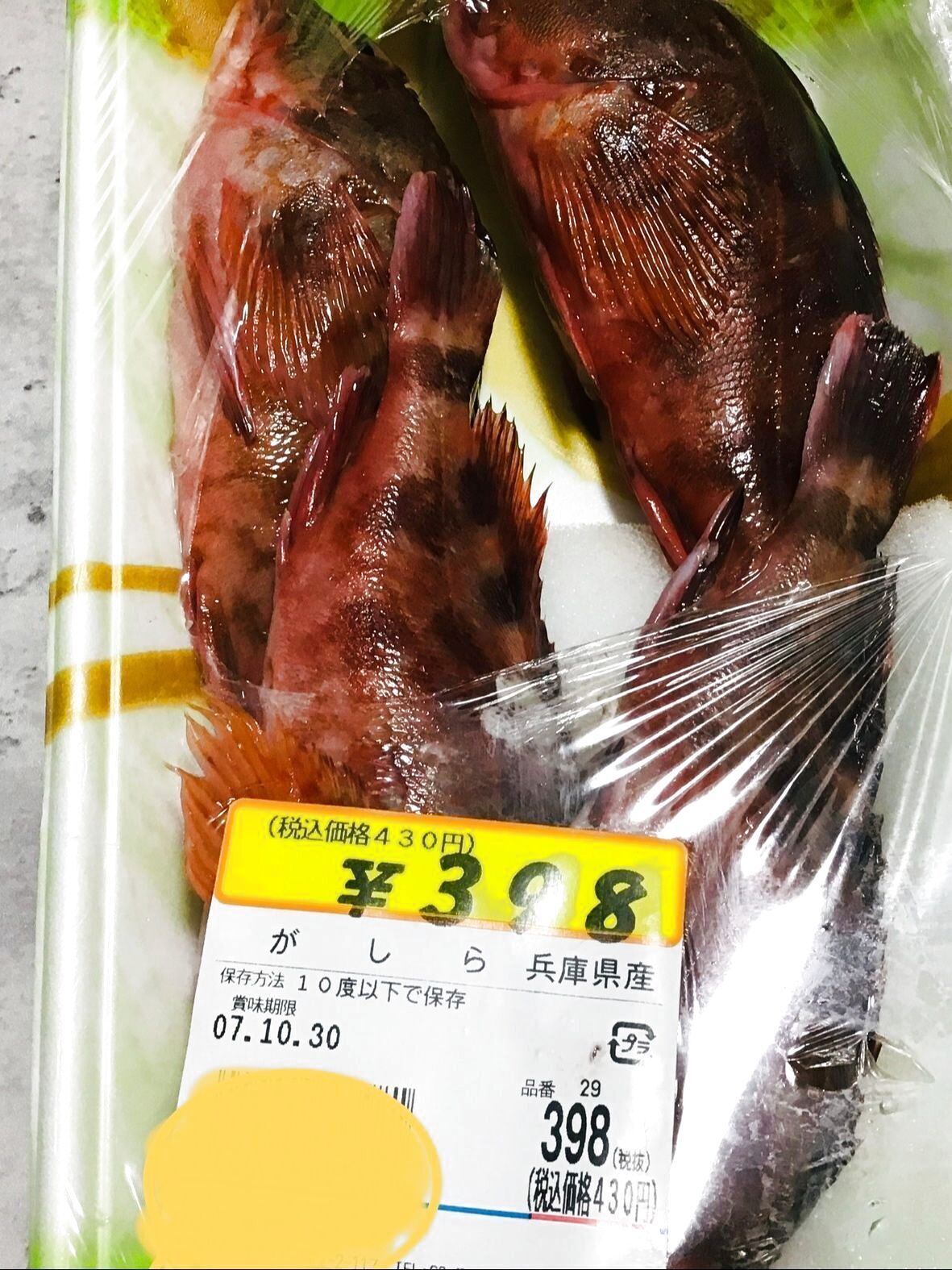 地域で呼び名が違う魚　ガシラ