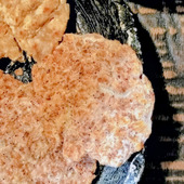 簡単！イタリアン風！えびせんべい！香ばしくパリッと軽い食感！カルシウム補給！