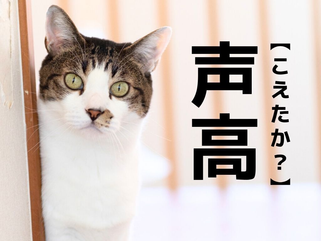 【声高】なんて読む？「こえたか」ではありませんよ！【読めそうで読めない漢字クイズ】