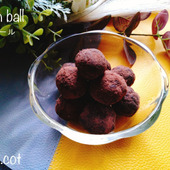 鉄分不足のお助け。鉄ボール