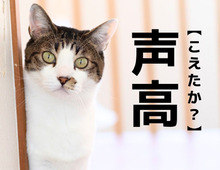 【声高】を「こえたか」と読んだら笑われます！なんて読む？【読めそうで読めない漢字クイズ】