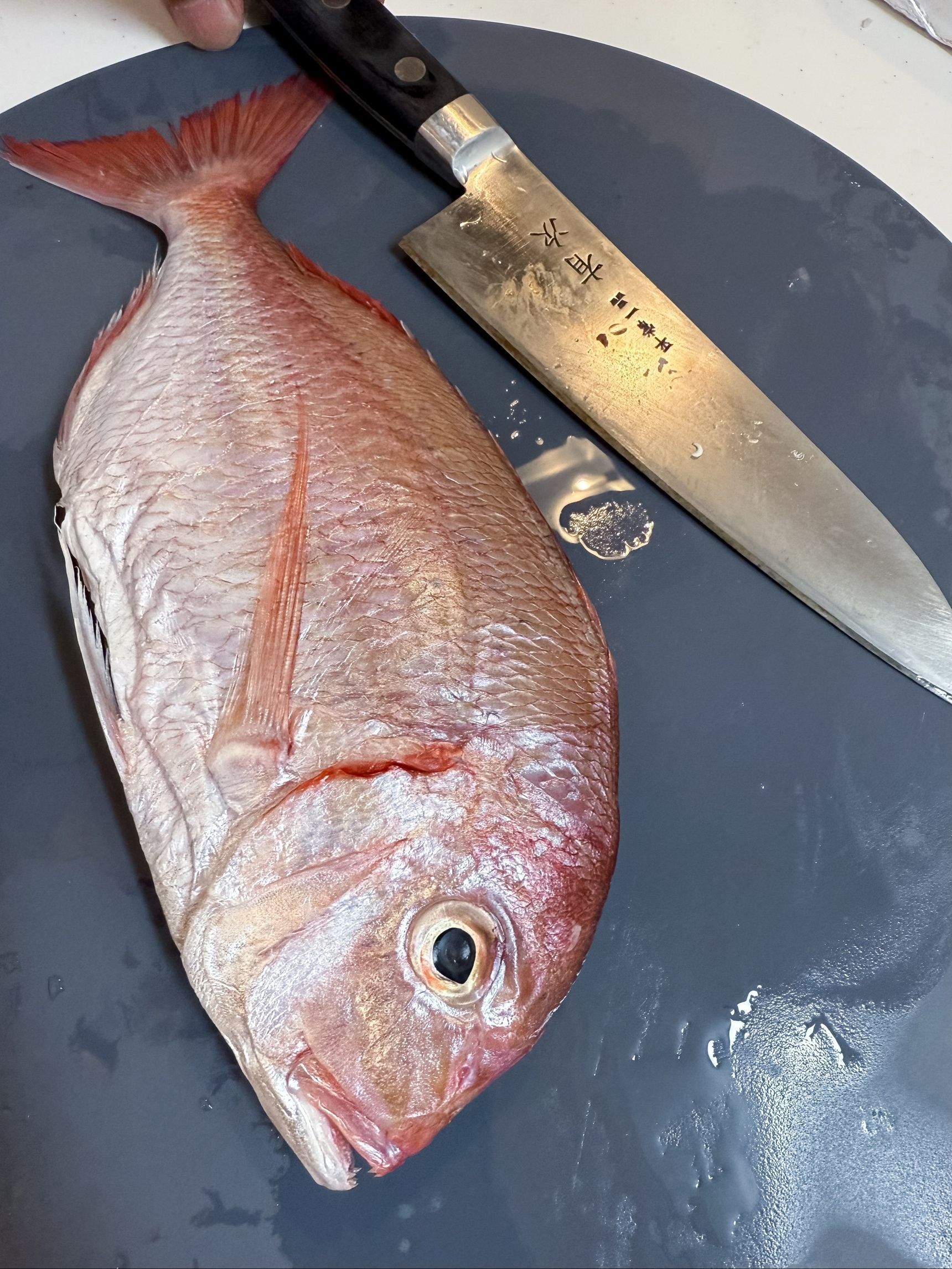 届いた花鯛（はなだい）