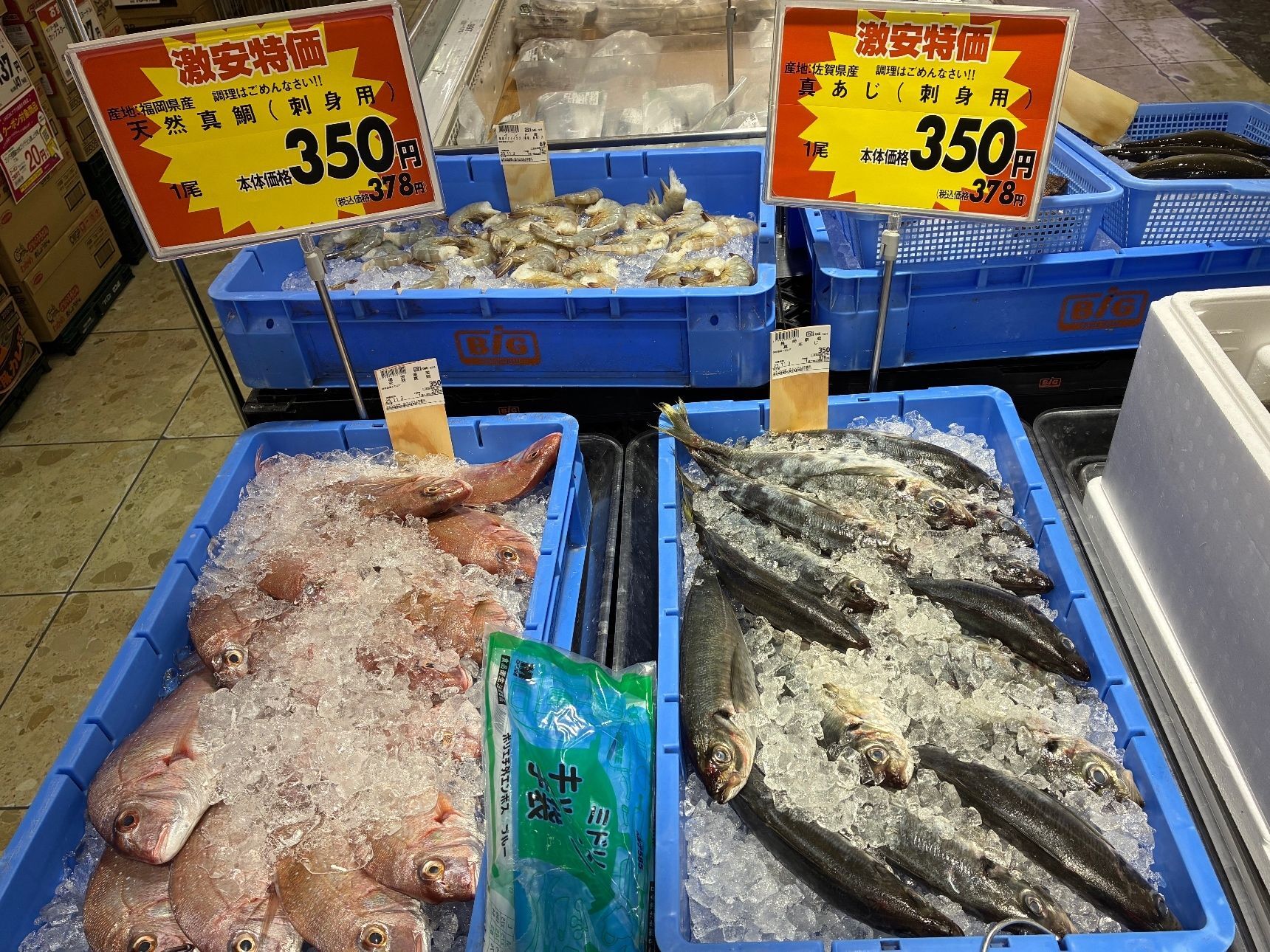 そんな玄界灘に面した福岡で出会える天然魚！