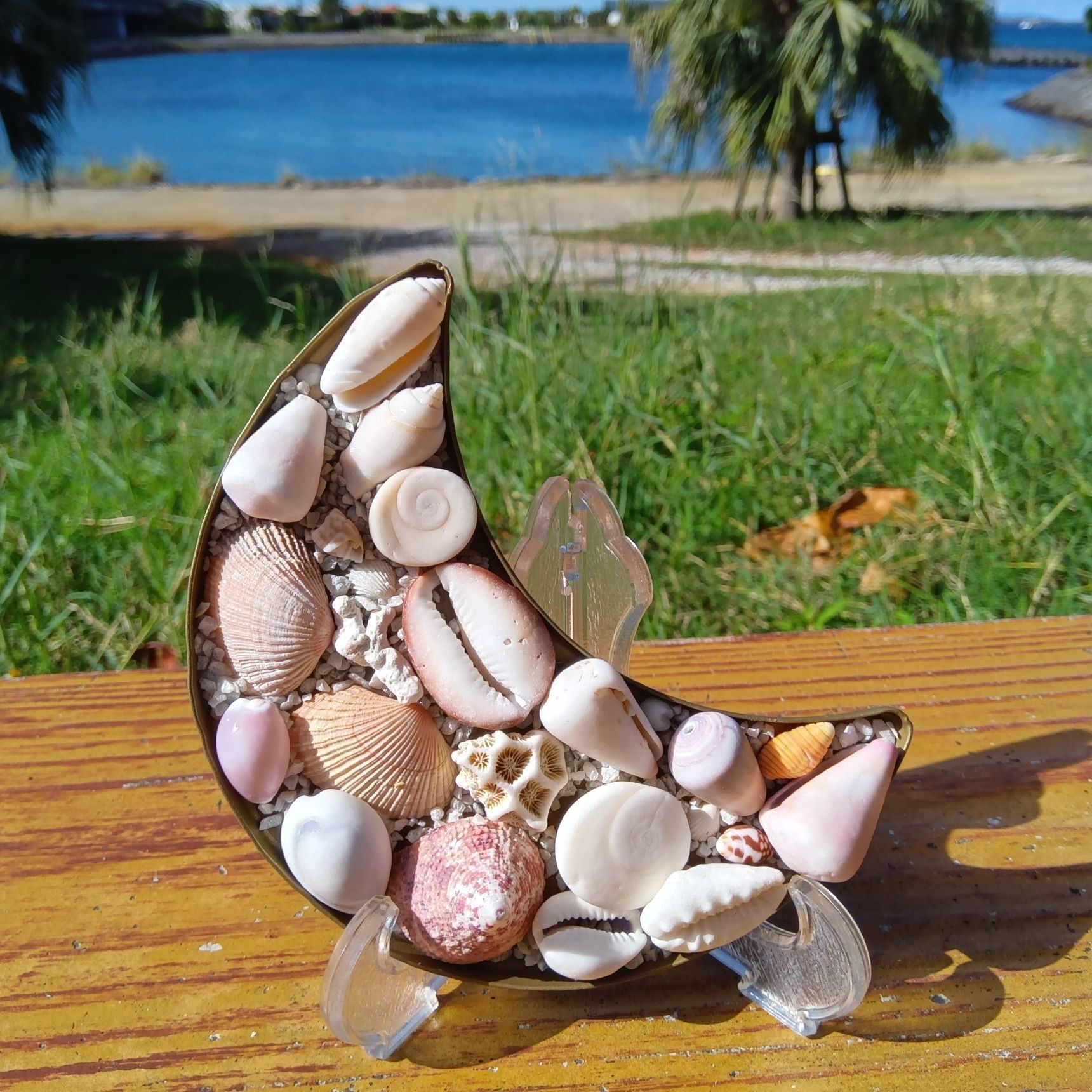 三日月型のトレーに