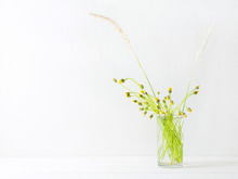 11月7日（金）今日は3つの吉日が重なるラッキーデー！夕方以降にやるといいことがありますよ♪